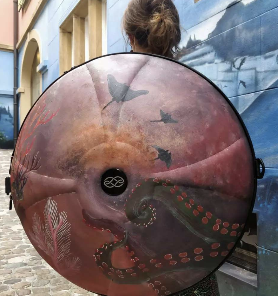 Housse de Handpan personnalisée – Image 2