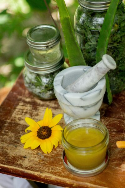 soin-par-la-nature Natural healing setup featuring herbs, aloe, and a mortar and pestle.