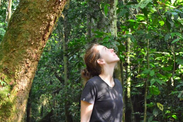 Claire Barrault foret